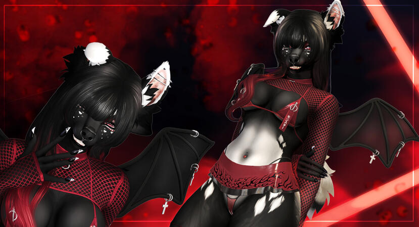 Among The Chery Blossoms! Among The Chery Blossoms!