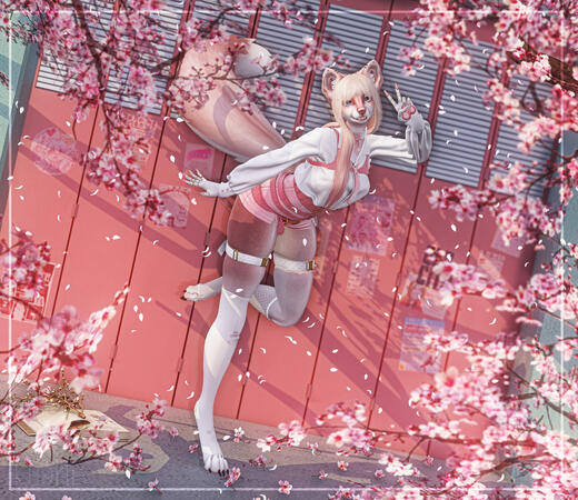 Among The Chery Blossoms!